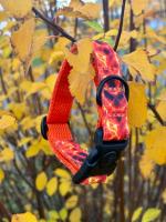 Ошейник - " Огонь"  О бренде RISHELL.BY