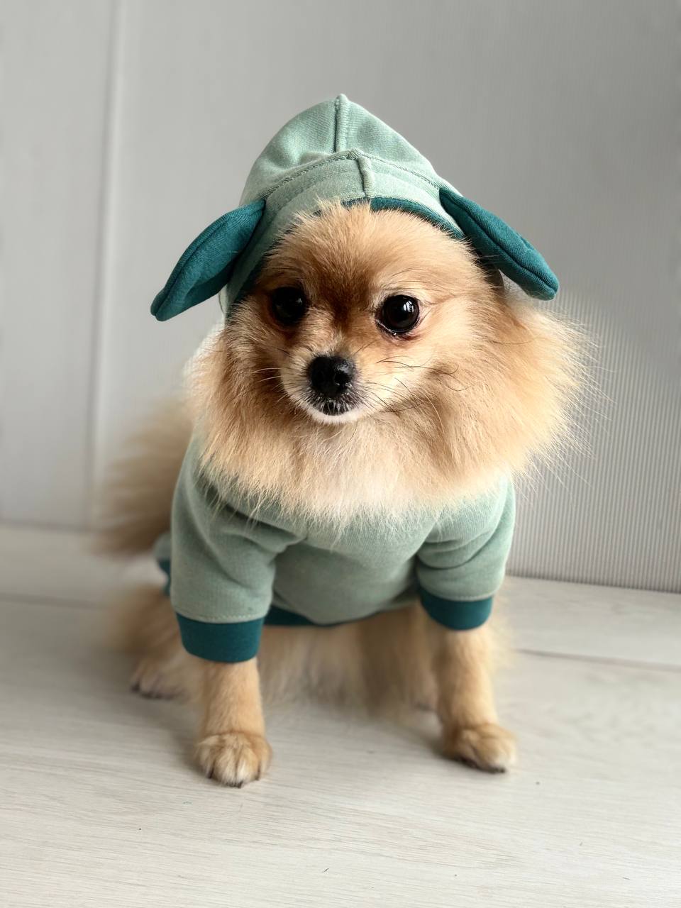 ПОШИВ ОДЕЖДЫ ДЛЯ СОБАК